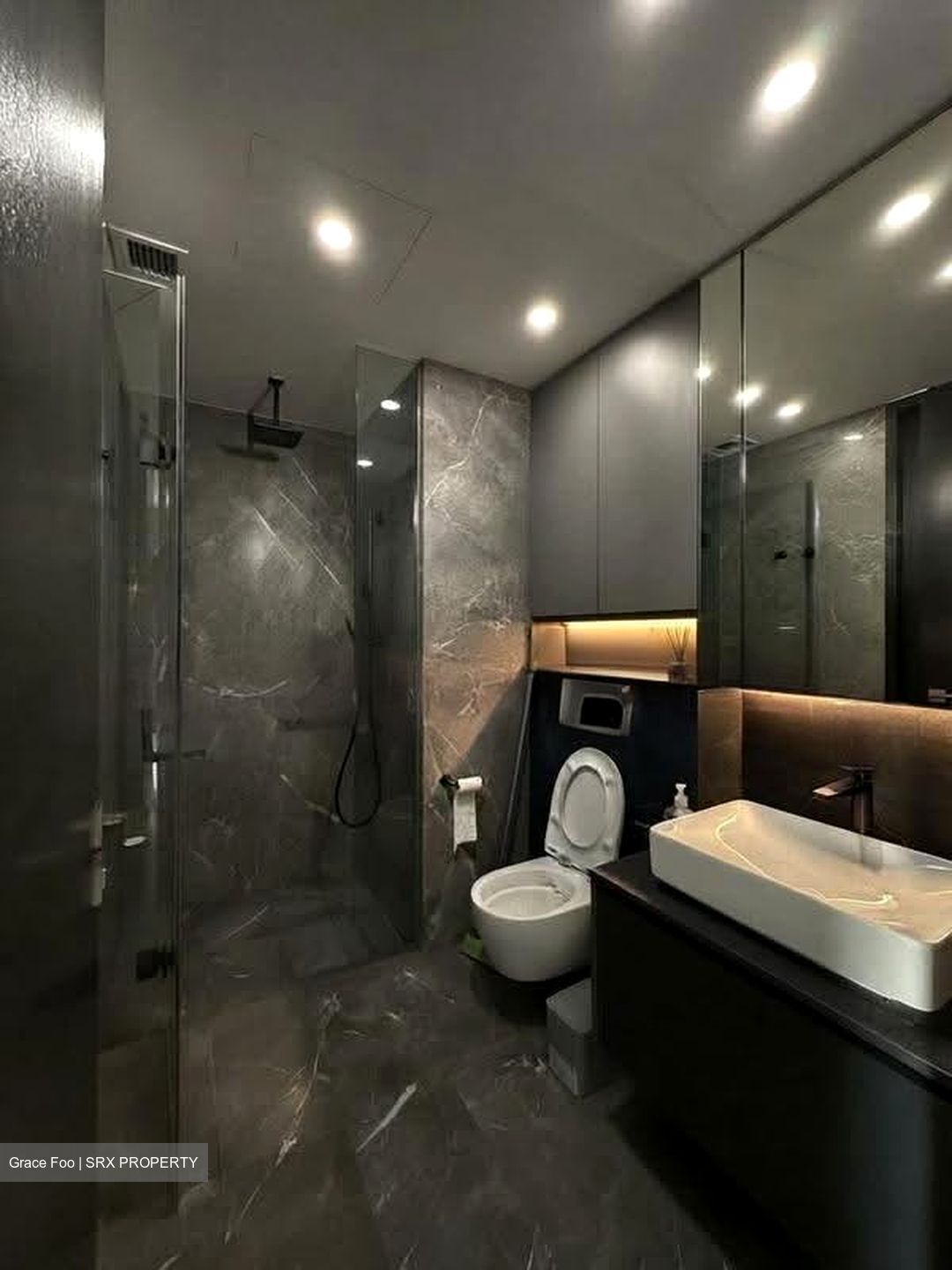 Irwell Hill Residences (D9), Apartment #629099701